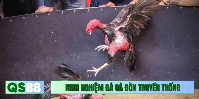 Kinh nghiệm đá gà đòn truyền thống online